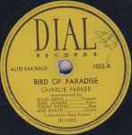 Bird Of Paradise / Dexterity