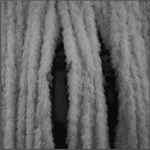 Clubsport #6 (LYL Radio 09.02.18)