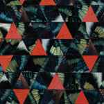 Diatom Ribbons Live At The Village Vanguard