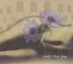 Fabulife / Electro Lounge