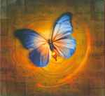 Flying On The Wings Of Creativity