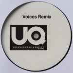 Voices (Remixes)