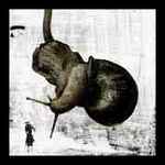 Il Drago è Astratto