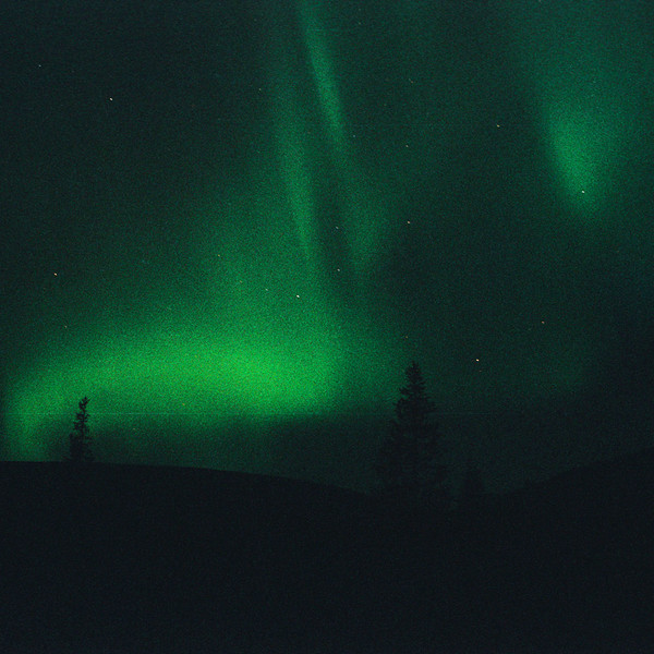 Kit Mix #119 // Suokas