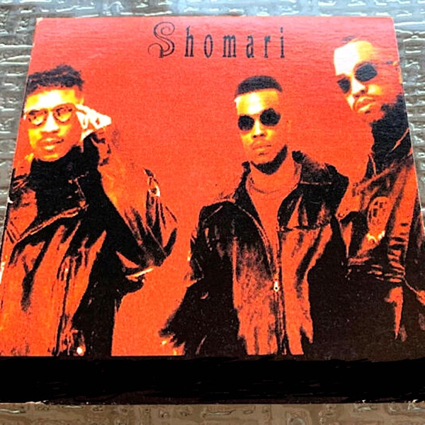 Lady for Life (feat. Teddy Riley) – Single