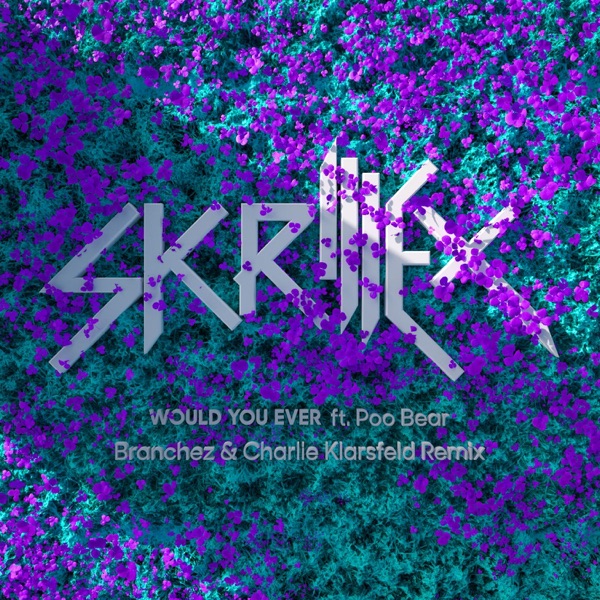 Would You Ever (Branchez & Charlie Klarsfeld Remix) – Single