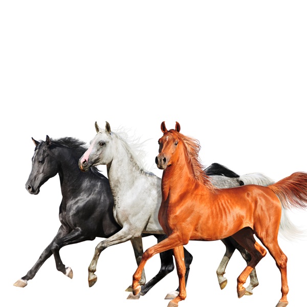 Old Town Road (Diplo Remix) – Single