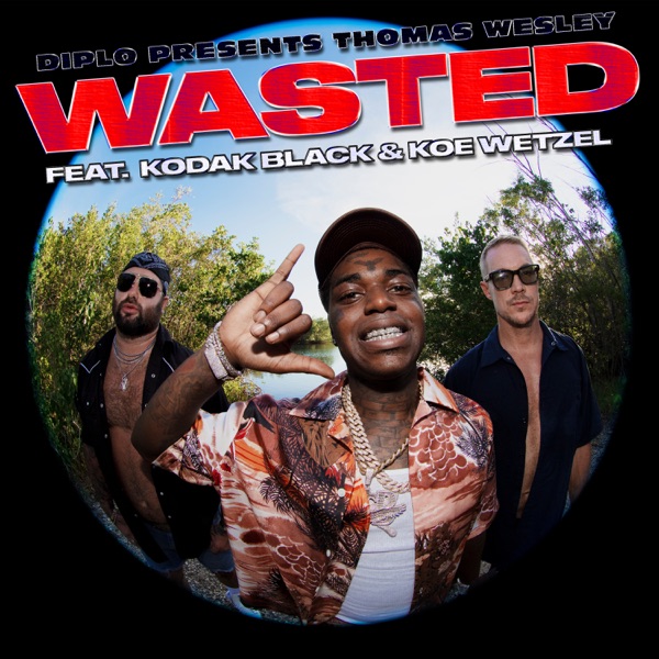Wasted (feat. Kodak Black & Koe Wetzel) – Single