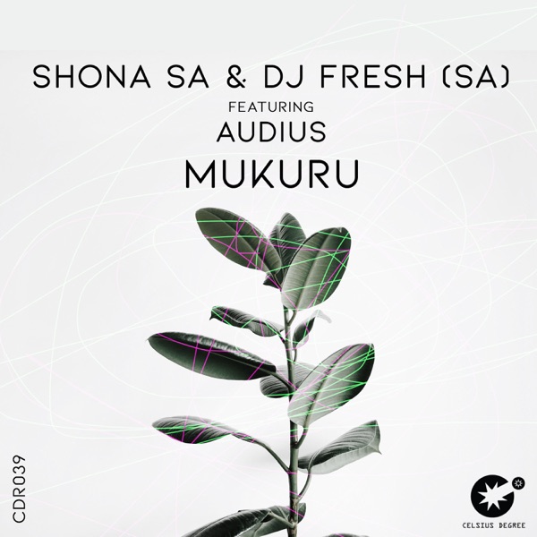 Mukuru (feat. Audius) – Single