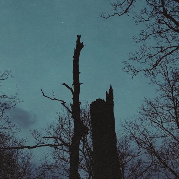 Trouble (feat. Sullivan Fortner & Eric Wheeler) – Single