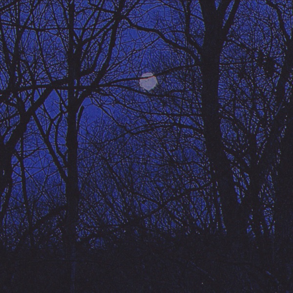 Moonlight (feat. Sullivan Fortner, Dezron Douglas & Joe Dyson) – Single