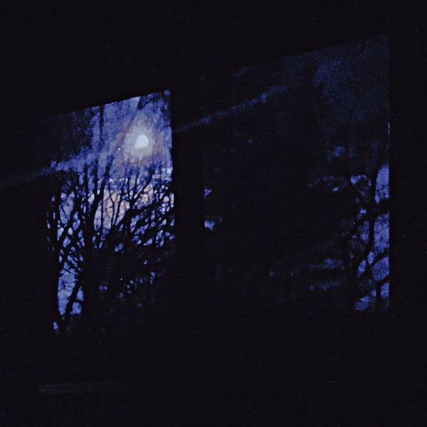 In The Still Of The Night (feat. Sullivan Fortner, Dezron Douglas & Joe Dyson) – Single