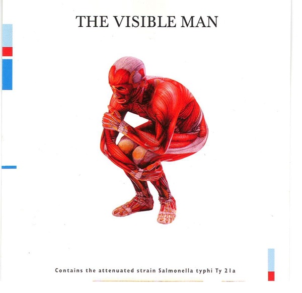 The Visible Man